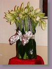 25.Blumenball 05.01.2011 048 * 1944 x 2592 * (2.12MB)